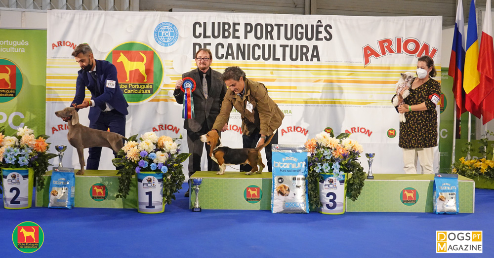 Latin Winner CPC 