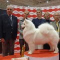 expo canina braga