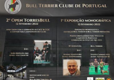 expo bull terrier