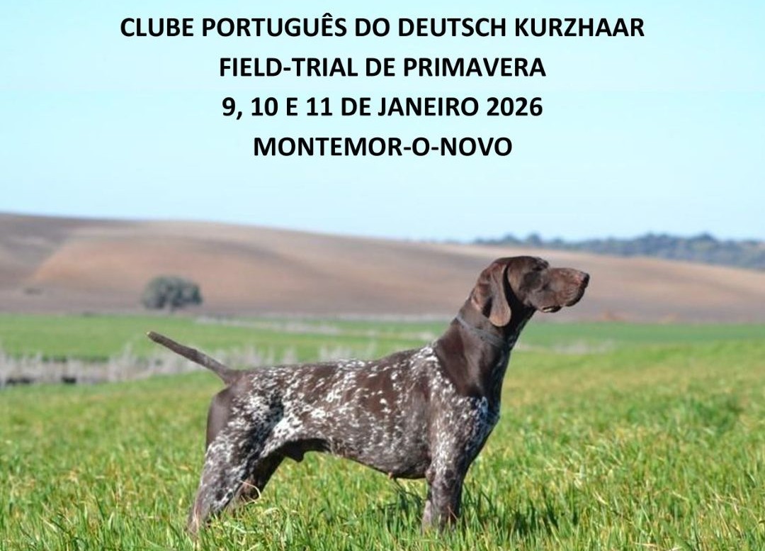 Field Trial de Primavera para as Raças Continentais – CPDK – dogs ...